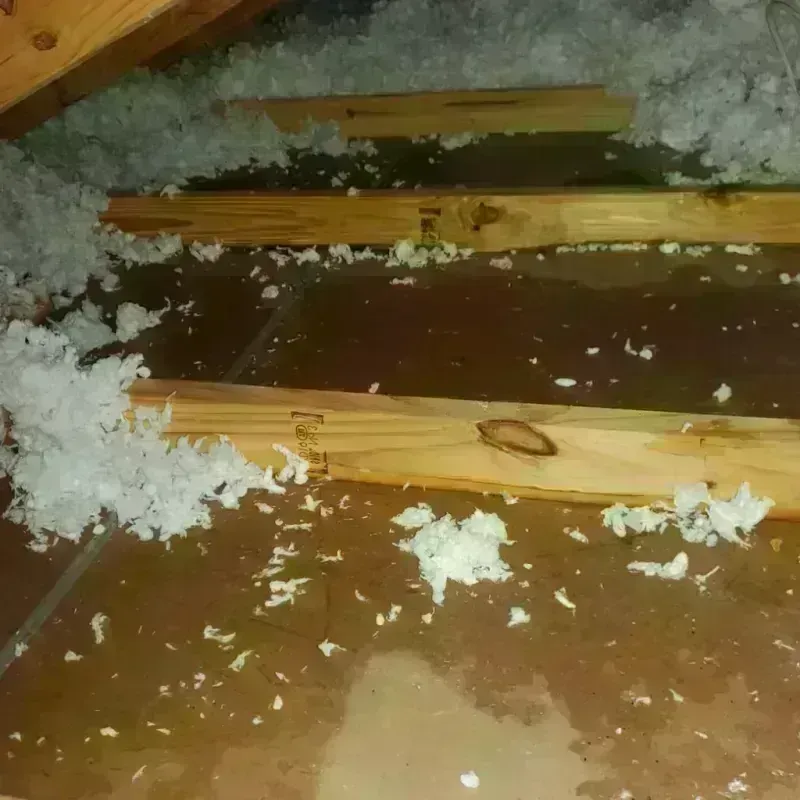 Attic Water Damage in Monee, IL