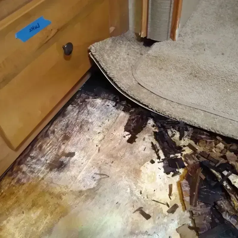 Wood Floor Water Damage in Monee, IL